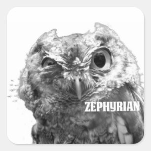 Zephyrianのフクロウのステッカー スクエアシール