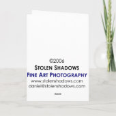 Zermattからのマッターホルン カード (裏面)