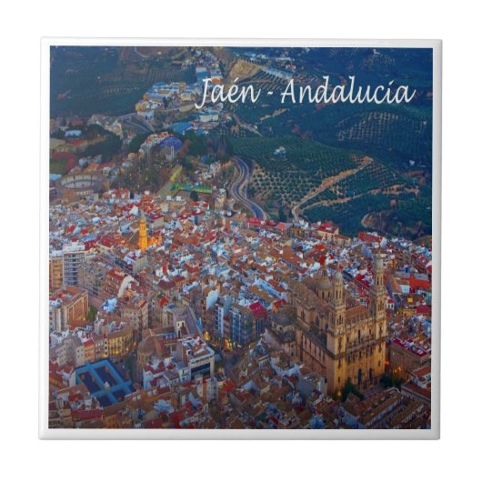 zES019 ANDALUCIA JAENスペイン， タイル (正面)