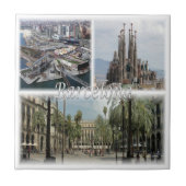 zES031バルセロナスペイン, タイル (正面)