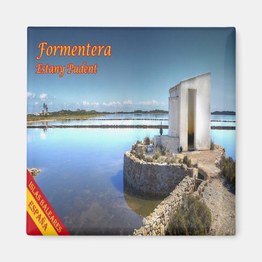 zES070 FORMENTERA LAKE PUDENT、Balearic、冷蔵庫 マグネット (正面)