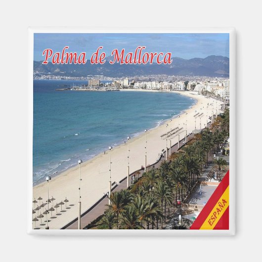 zES101 PALMA DE MALLORCA，スペイン，冷蔵庫用マグネット マグネット (正面)