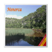 zES114 MENORCAパノラマ,スペイン, タイル (正面)