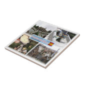 zES153 BARCELONA Park Guell,カタロニア, タイル (側面)