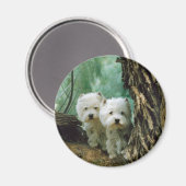 ZestとDonna(母娘Take 2) マグネット (正面/裏面)