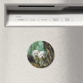 ZestとDonna(母娘Take 2) マグネット (インサイチュ (食洗機))