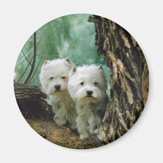 ZestとDonna(母娘Take 2) マグネット (正面)