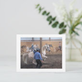 Zeus、柱の中にレベードはがき ポストカード (スタンド正面)