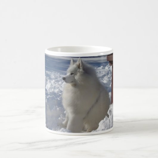 zeus_snow_21dec09_1 コーヒーマグカップ (中央)