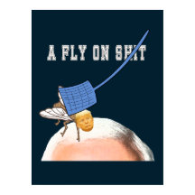 ZFJフライスワッターとPence Headでトランプ