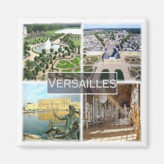 zFR042 VERSAILLES The Palace，フランス，冷蔵庫 マグネット (正面)
