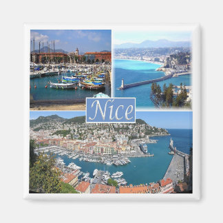 zFR044 NICE, Provence，フランス，冷蔵庫 マグネット