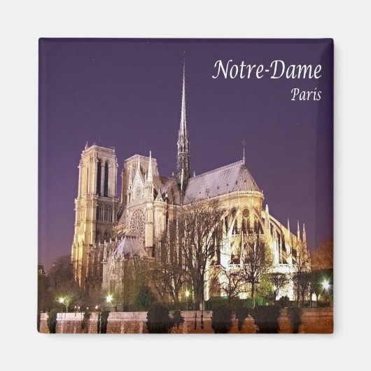 zFR055 NOTRE-DAME，パリ，フランス，冷蔵庫 マグネット (正面)