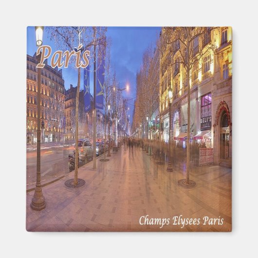 zFR060 CHAMPS-ELYSES、パリ、フランス、冷蔵庫 マグネット (正面)