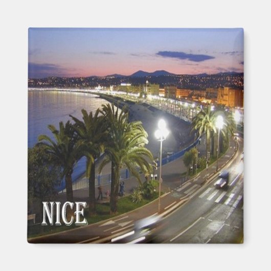 zFR085 NICE NIZZA フランスの Riviera，フランス，冷蔵庫 マグネット (正面)