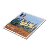 zFR143 CARCASSONE、フランス、 タイル (側面)