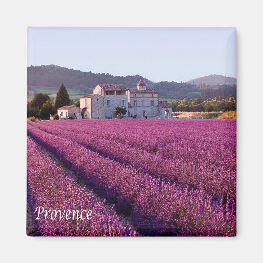 zFR149 PROVENCE，フランス，冷蔵庫 マグネット (正面)