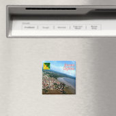 zGF004 CAYENNE，ガイアナフランスの，アメリカ，冷蔵庫 マグネット (インサイチュ (食洗機))