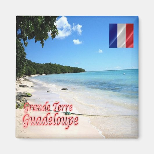 zGP004 GUADELOUPE, Grande-Terre,ビーチ,冷蔵庫 マグネット (正面)