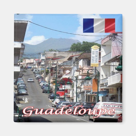 zGP006 GUADELOUPE, Basse-Terre，アメリカ，冷蔵庫 マグネット (正面)