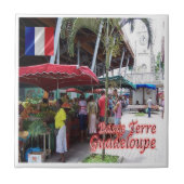 zGP007 GUADELOUPE, Basse-Terre, タイル (正面)