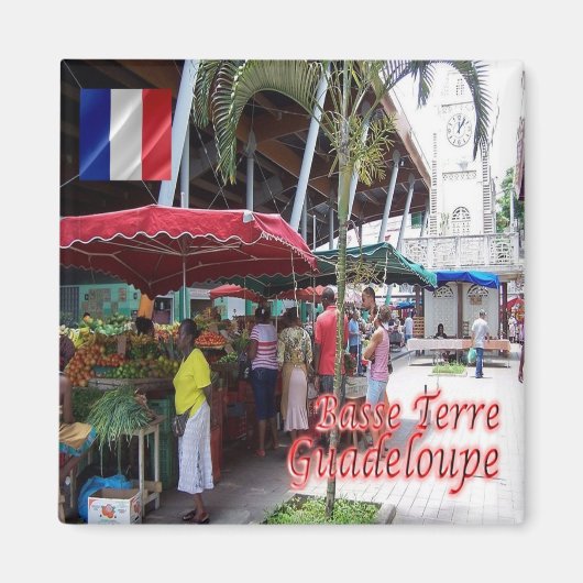 zGP007 GUADELOUPE, Basse-Terre,冷蔵庫 マグネット (正面)
