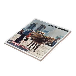 zGR119 MYKONOS Donkey,ギリシャ, タイル
