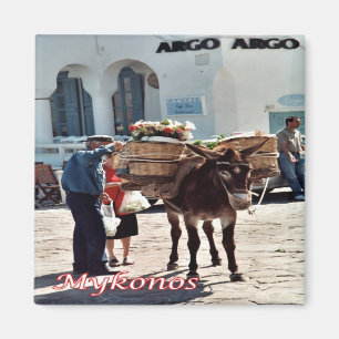 zGR119 MYKONOS Donkey，ギリシャ，冷蔵庫 マグネット
