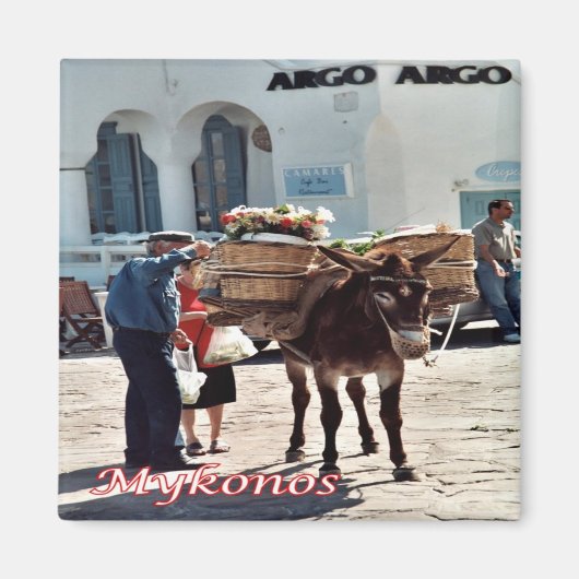 zGR119 MYKONOS Donkey，ギリシャ，冷蔵庫 マグネット (正面)