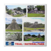 zGT009 TIKAL N.P.モザイク，グアテマラ， タイル (正面)