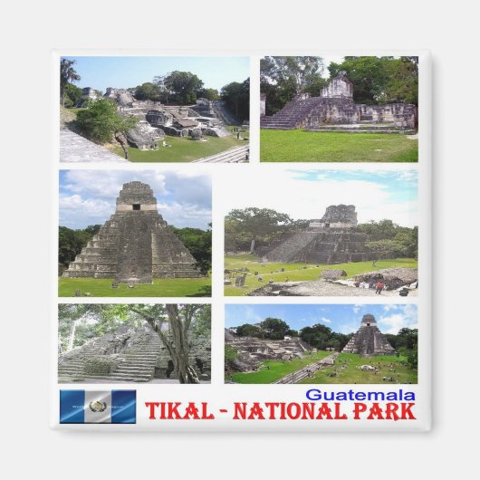 zGT009 TIKAL N.P.モザイク，グアテマラ，冷蔵庫 マグネット (正面)