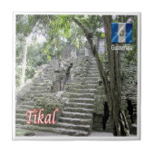 zGT012 TIKAL国立公園,グアテマラ, タイル (正面)
