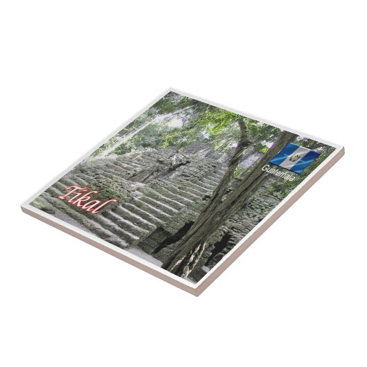 zGT012 TIKAL国立公園,グアテマラ, タイル (側面)