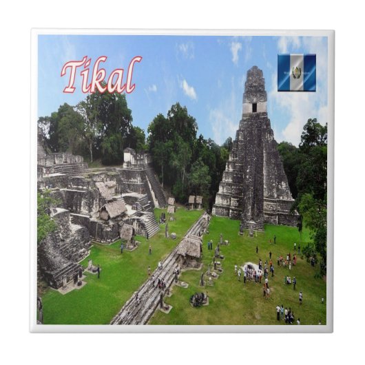 zGT014ティカルマヤ遺跡,グアテマラ, タイル (正面)