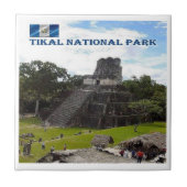 zGT016 TIKAL国立公園，グアテマラ， タイル (正面)