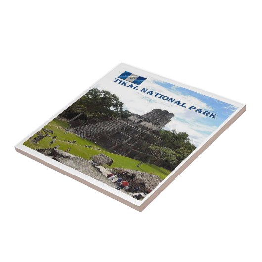 zGT016 TIKAL国立公園，グアテマラ， タイル (側面)