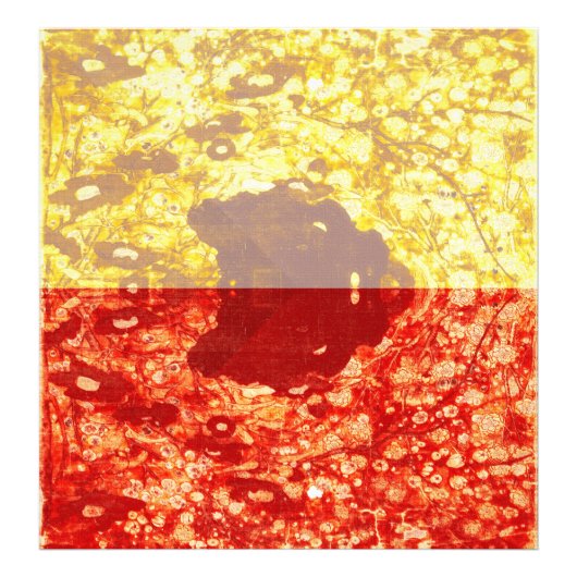 Zhao Chang – 新年の写真（変更） フォトプリント (正面)