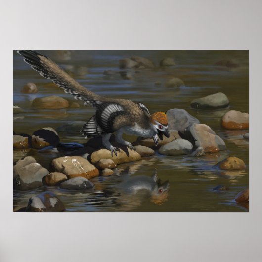 Zhenyuanlong ポスター (正面)