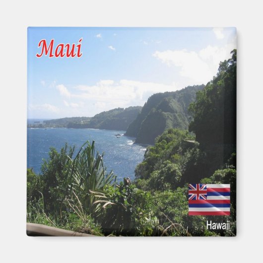zHI004 MAUI, HAWAII, Aerial View, Oceania,冷蔵庫 マグネット (正面)