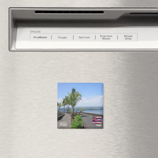 zHI012 HILO,ハワイ,パノラマ,オセアニア,冷蔵庫 マグネット (インサイチュ (食洗機))