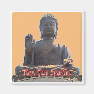 zHK020 TIAN TAN BUDDHA、香港、お土産冷蔵庫 マグネット