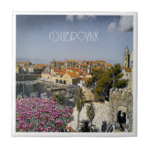 zHR019 DUBROVNIK、クロアチア， タイル (正面)