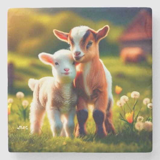 Zicklein ストーンコースター (正面)