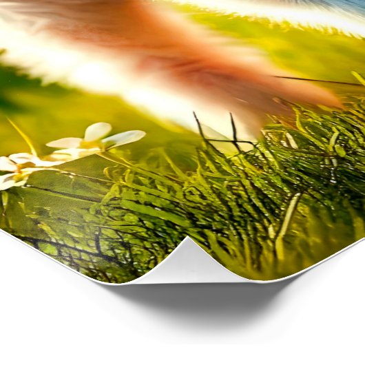 Zicklein ポスター (コーナー)