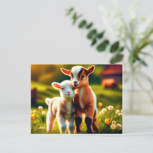 Zicklein ポストカード (スタンド正面)