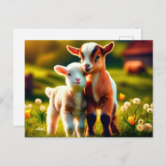 Zicklein ポストカード (正面/裏面)