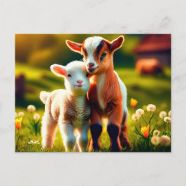 Zicklein ポストカード