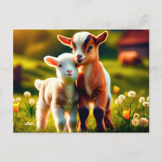 Zicklein ポストカード (正面)