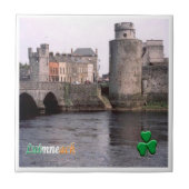 zIE004 LIMERIK、Luimneach、アイルランド、Luimneach タイル (正面)