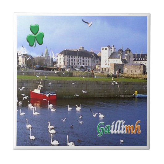 zIE005 GALWAY GAILLMH,アイルランド, タイル (正面)
